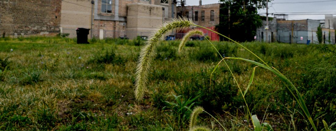 urban-prairie-shrinking-cities Urban prairie